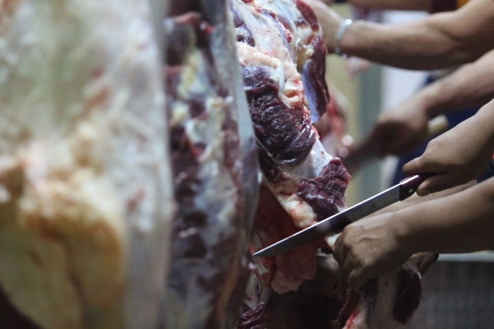 Tips dan Trik Cegah Penyebaran PMK saat Konsumsi Daging Hewan Kurban