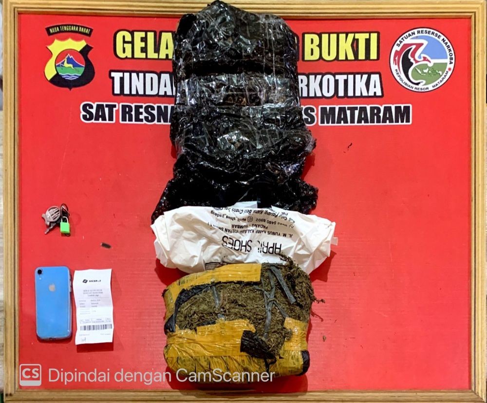 Anak Band Ternama di Kota Mataram Diringkus Bawa 1 Kg Ganja 