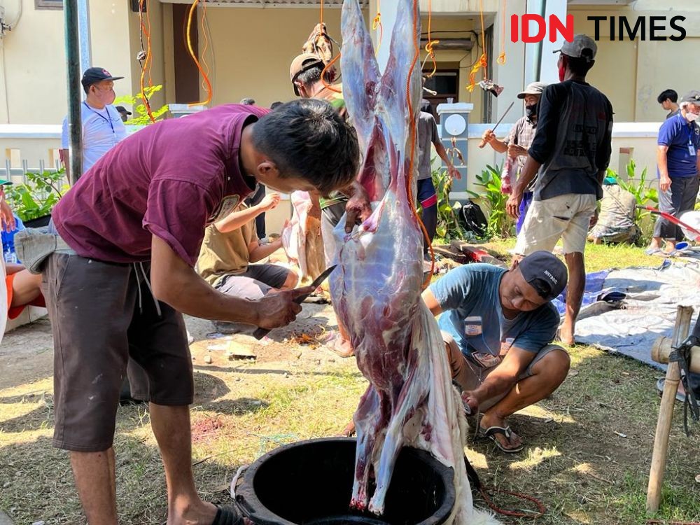 Cerita Diaspora di Jerman Rayakan Idul Adha Tanpa Sembelih Hewan Kurban