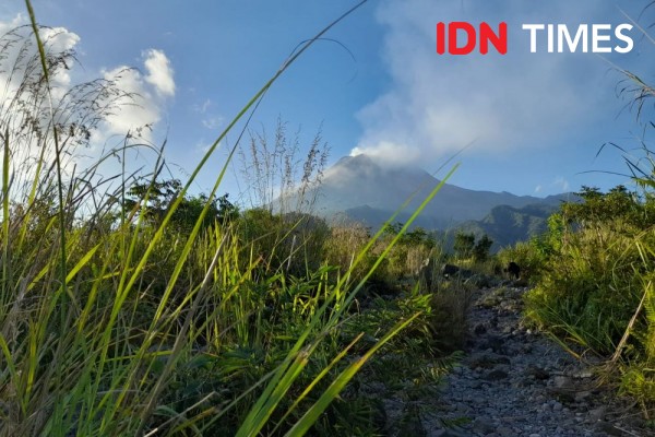 Intensitas Guguran Merapi dari Kubah Barat Daya Meningkat