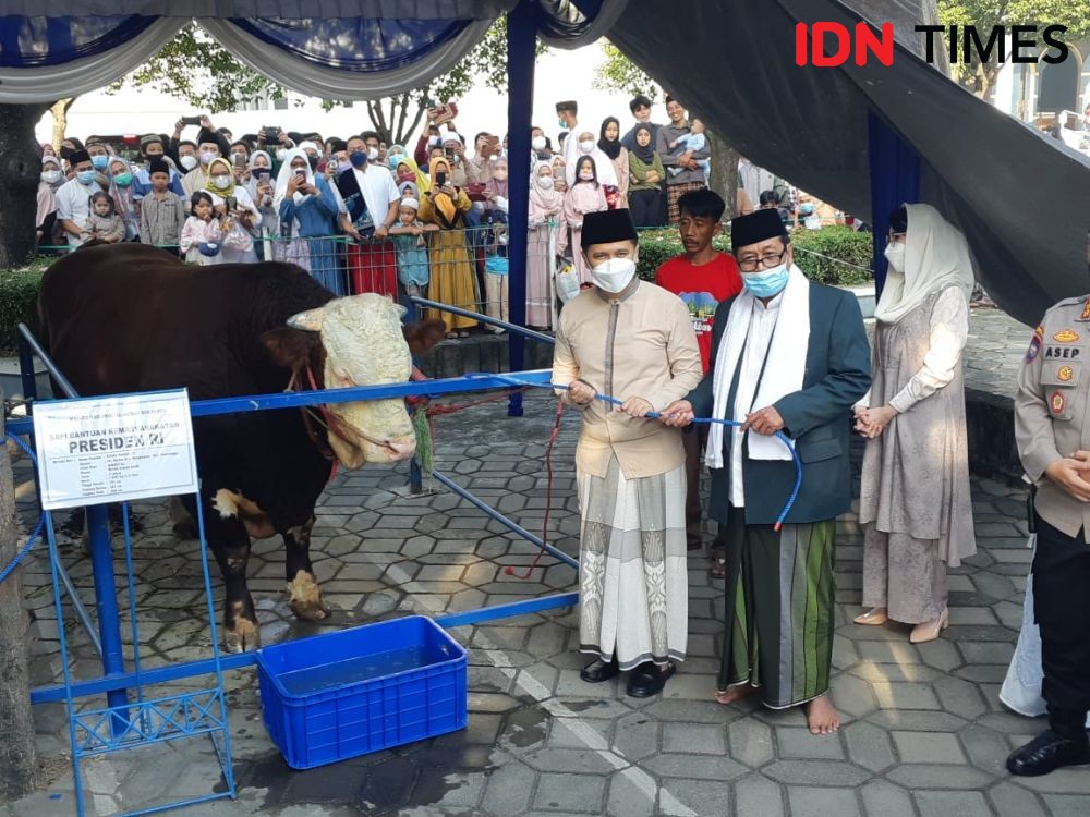 Hewan Kurban yang Diterima Masjid Al Akbar Surabaya Lampaui Tahun Lalu