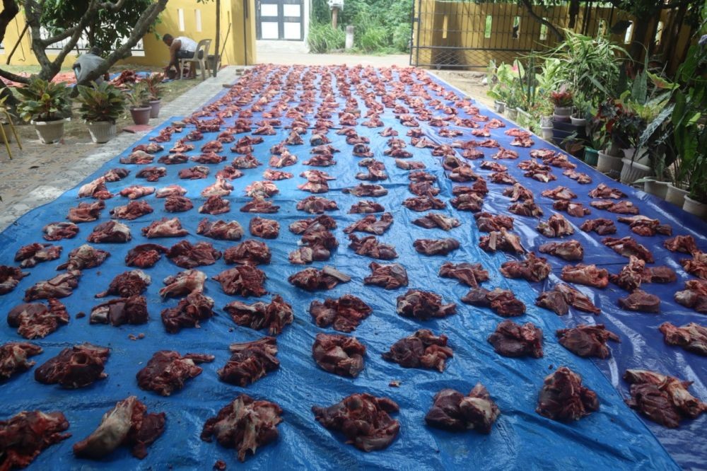 Idul Adha Tahun Ini, 1.853 Ekor Hewan Kurban Disembelih di Banda Aceh