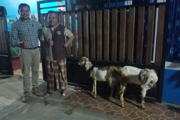 Warga Kembalikan Kambing Kurban Kurus Pemberian Perusahaan