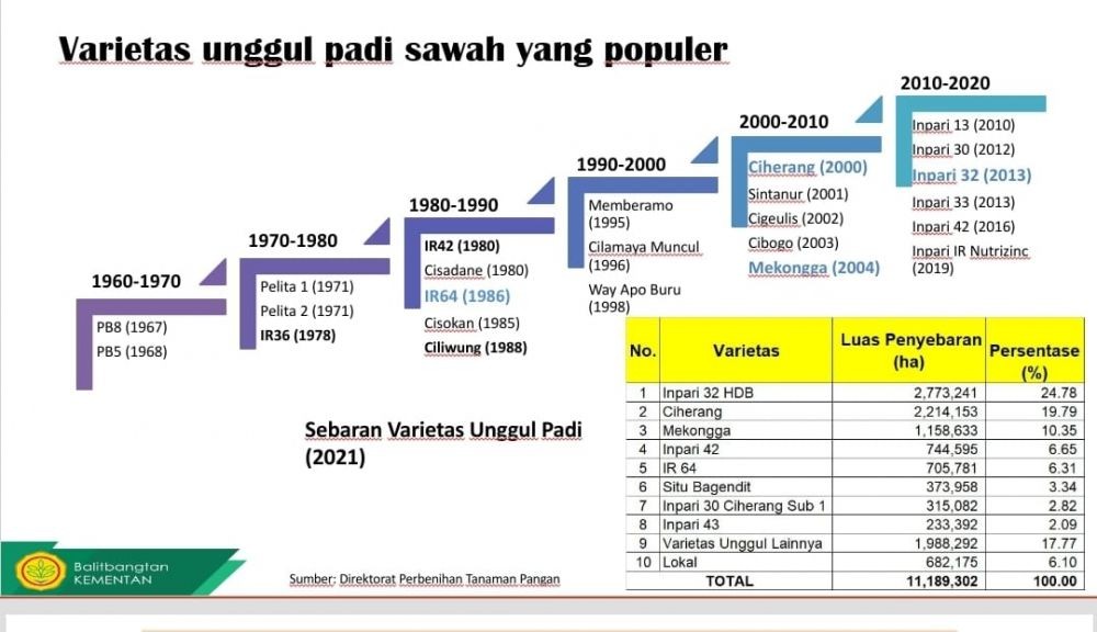 Hasil Produksi Padi Melimpah, Indonesia Ingin Jadi Lumbung Beras Dunia