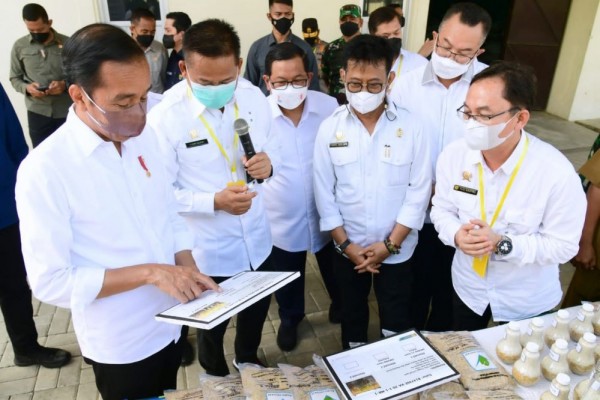 Hasil Produksi Padi Melimpah, Indonesia Ingin Jadi Lumbung Beras Dunia