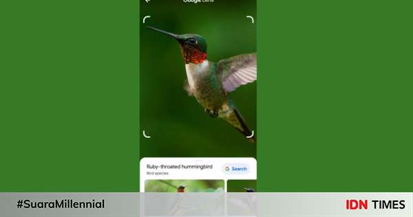 5 Tips Menggunakan Google Lens, Punya Beragam Fitur Hebat