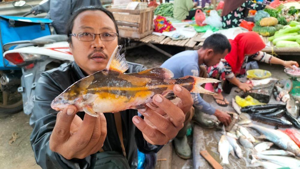 Pencemaran Mikroplastik, Sebab Ikan di Sungai Musi Sulit Bertahan