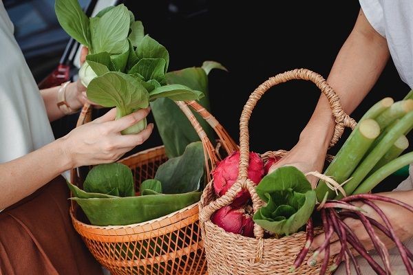 3 Ciri Sayur Pestisida Perhatikan Lagi Saat Membeli