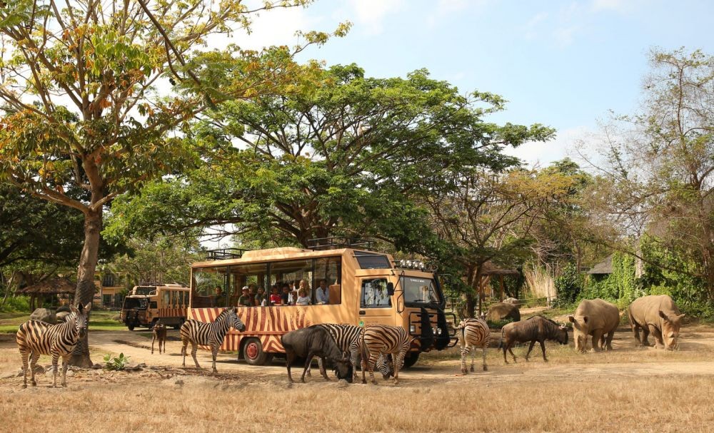 5 Taman Safari di Indonesia Ini Wajib Kamu Kunjungi, Seru dan Edukatif