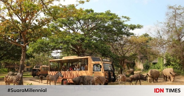 5 Taman Safari di Indonesia Ini Wajib Kamu Kunjungi