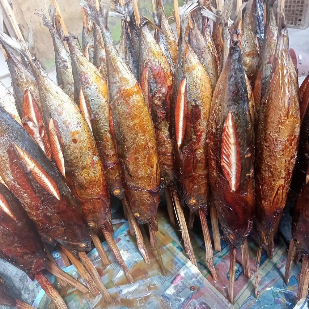 12 Jenis Ikan Yang Biasa Dijadikan Ikan Asap Ada Favoritmu