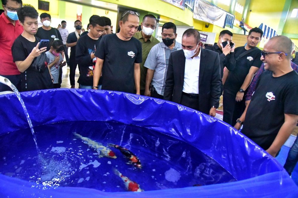 Koi Show Sumut 2022, Edy Turunkan 4 Ekor Ikan Miliknya