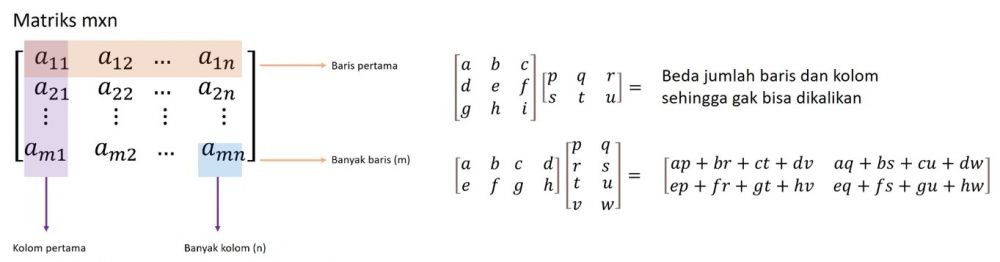 Perkalian Matriks 2x2 Pengertian Konsep Dan Contoh Soal