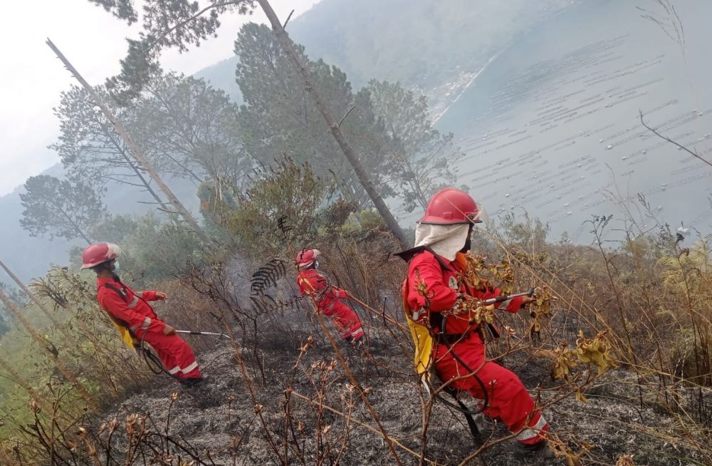 Kebakaran Hutan dan Lahan Danau Toba, 85 Hektare Ludes Dilalap Api