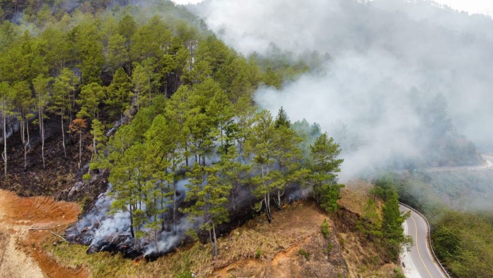 Kebakaran Hutan dan Lahan Danau Toba, 85 Hektare Ludes Dilalap Api