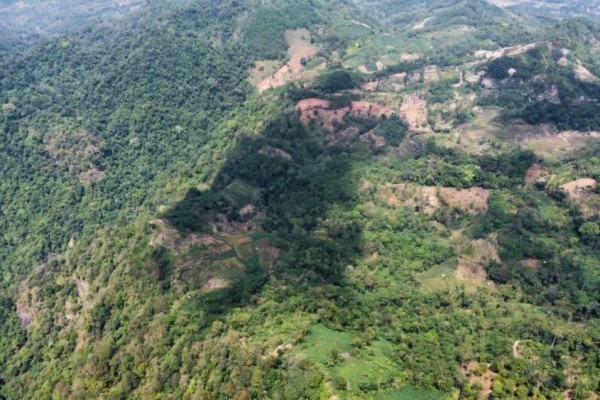 70 Spesies Pohon Direkonstruksi, Tiga Cagar Alam di Jepara Kian Lebat