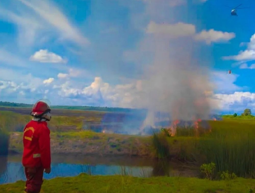 Karhutla OKI Tertinggi di Sumsel, 116 Lahan Terbakar Sejak Januari