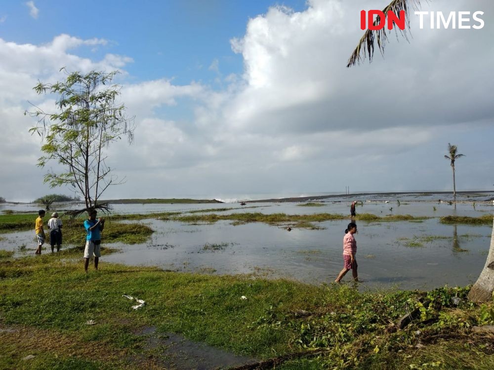Banjir Rob di Klungkung Rendam Lahan Pertanian dan Penggaraman