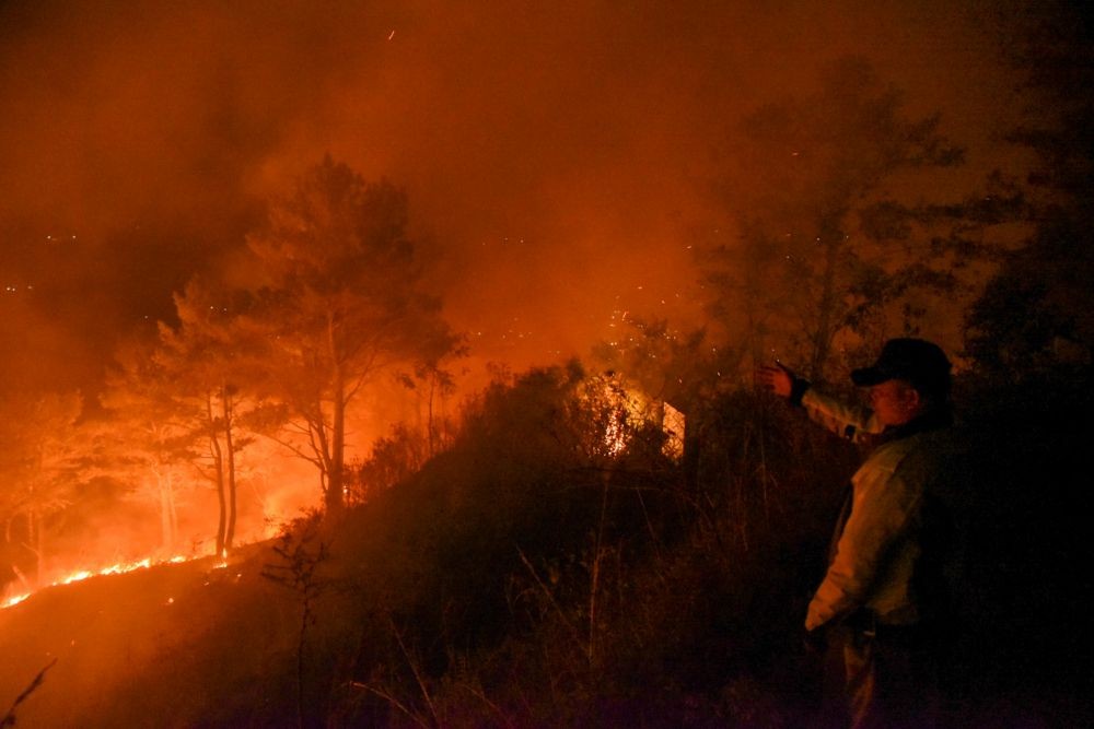 Karhutla Danau Toba, 500 Hektare Lebih Hutan Terbakar Agustus 2022