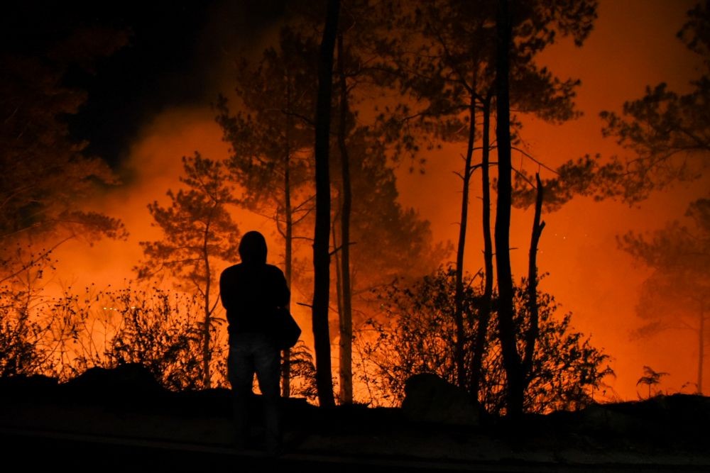 Lima Daerah di Sumsel Terpantau Muncul Titik Api Memicu Karhutla