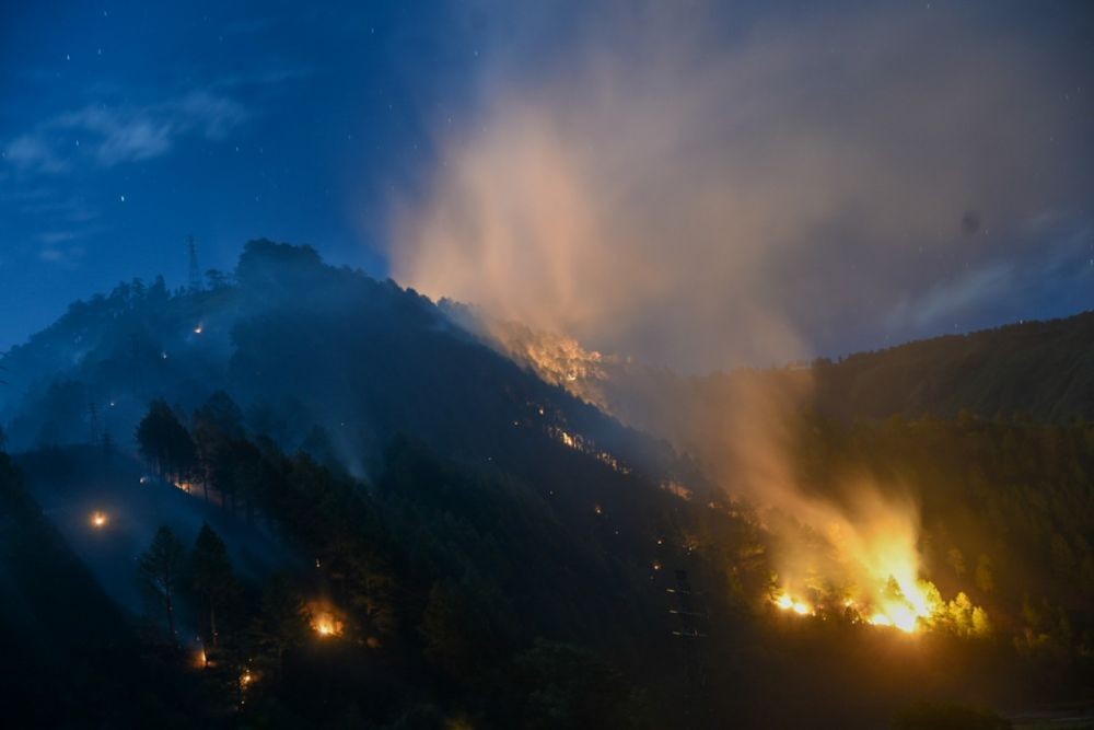 Hutan Lindung di Samosir Terbakar Lagi, Kadishut: Pusing Saya
