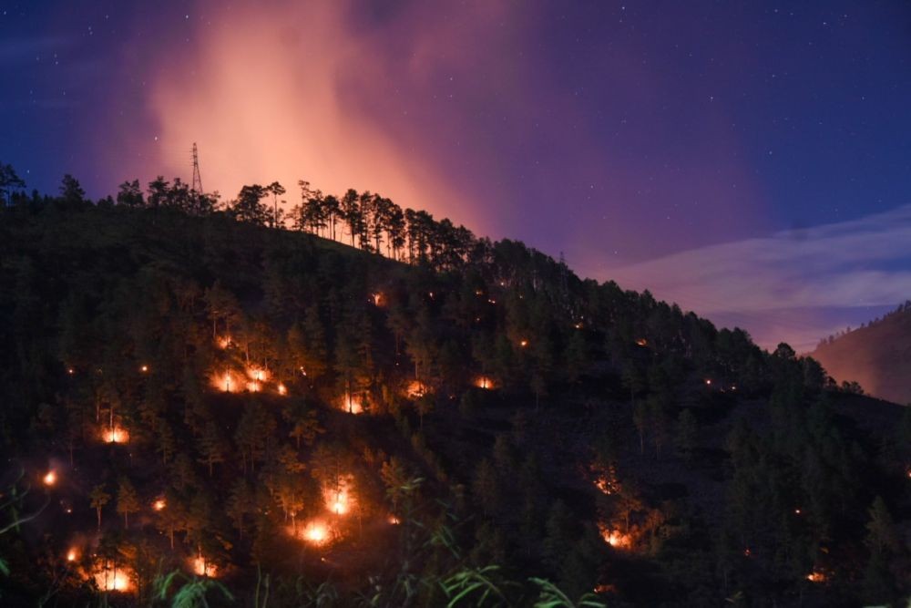 Hutan Lindung di Samosir Terbakar Lagi, Kadishut: Pusing Saya