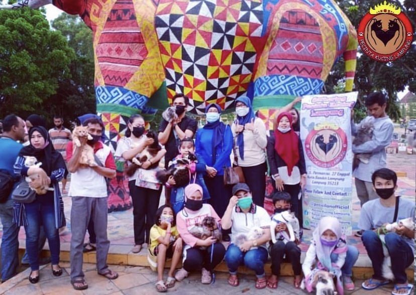 Komunitas Pecinta Kucing Lampung Ada Layanan Konsul Gratis 24 Jam