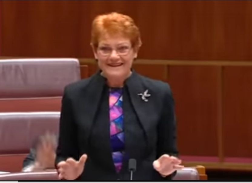 Senator Australia Sebut Jalan Bali Banyak Kotoran Sapi, Ini Faktanya