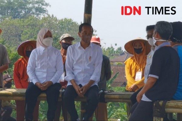 Pulang ke Boyolali, Jokowi Tanam Kelapa Genjah, Nostalgia Dengan Warga