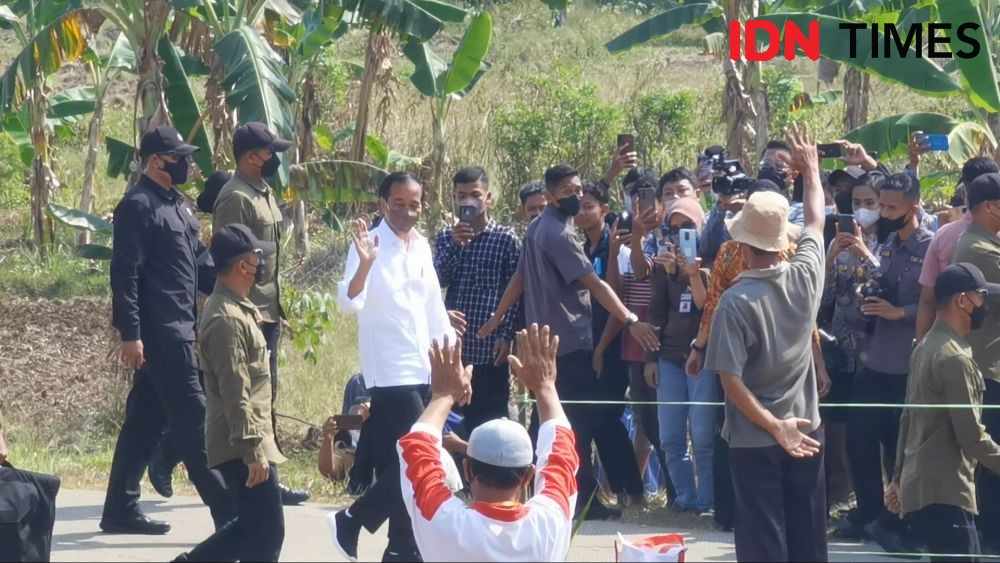 Pulang ke Boyolali, Jokowi Tanam Kelapa Genjah, Nostalgia Dengan Warga