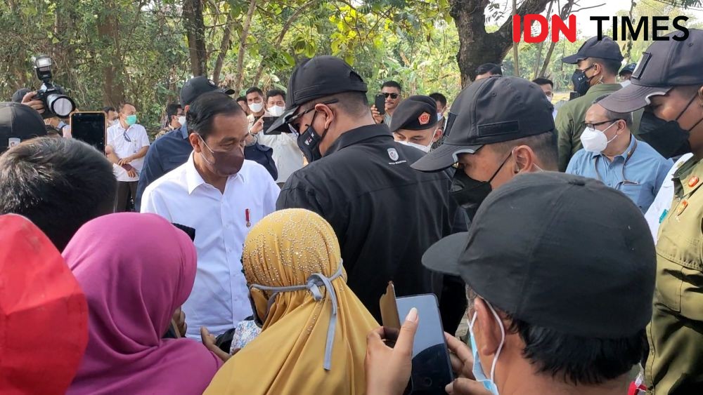 Pulang ke Boyolali, Jokowi Tanam Kelapa Genjah, Nostalgia Dengan Warga