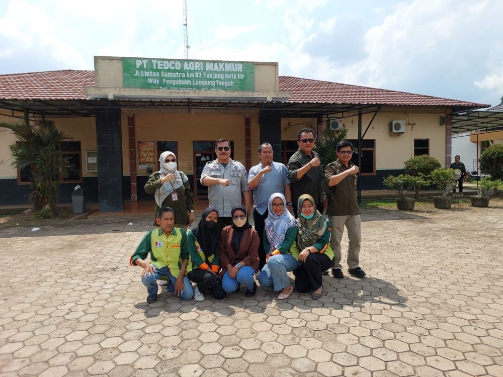 Turun ke Lampung, Itjen Kementan Dorong Pengembangan Singkong