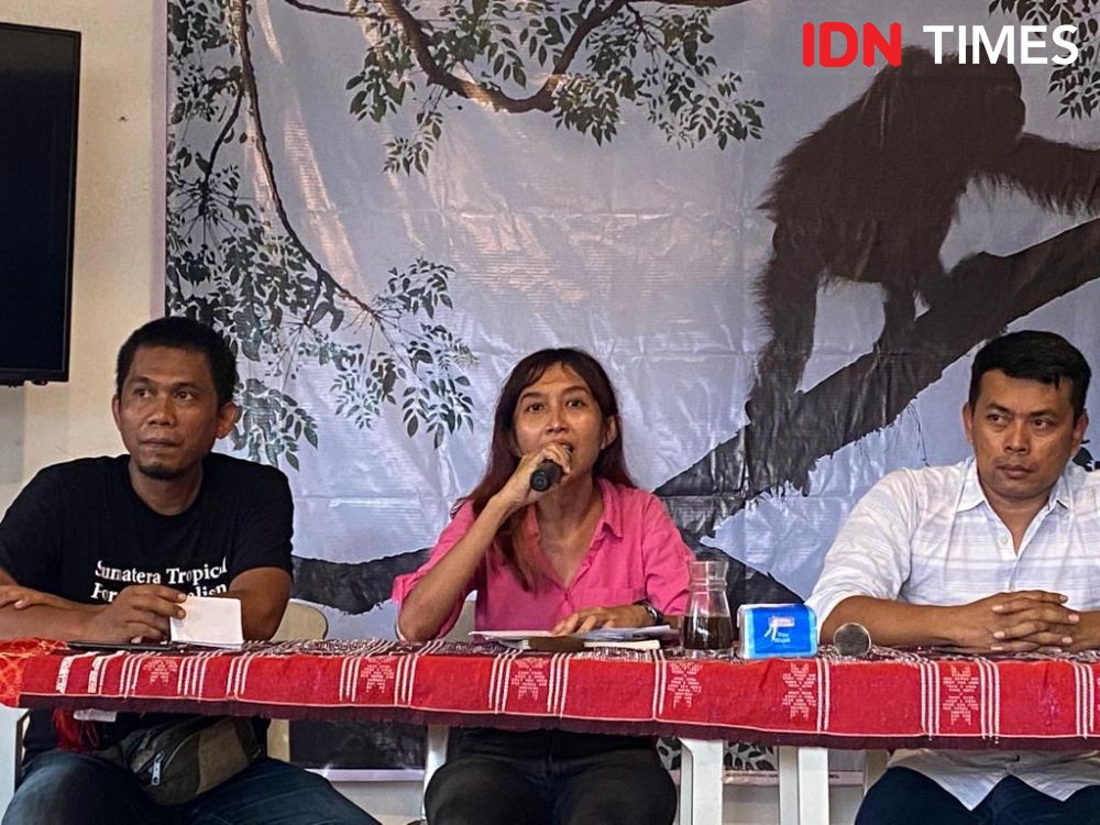 Statusnya Kritis, Tantangan Menyelamatkan Orangutan Semakin Besar