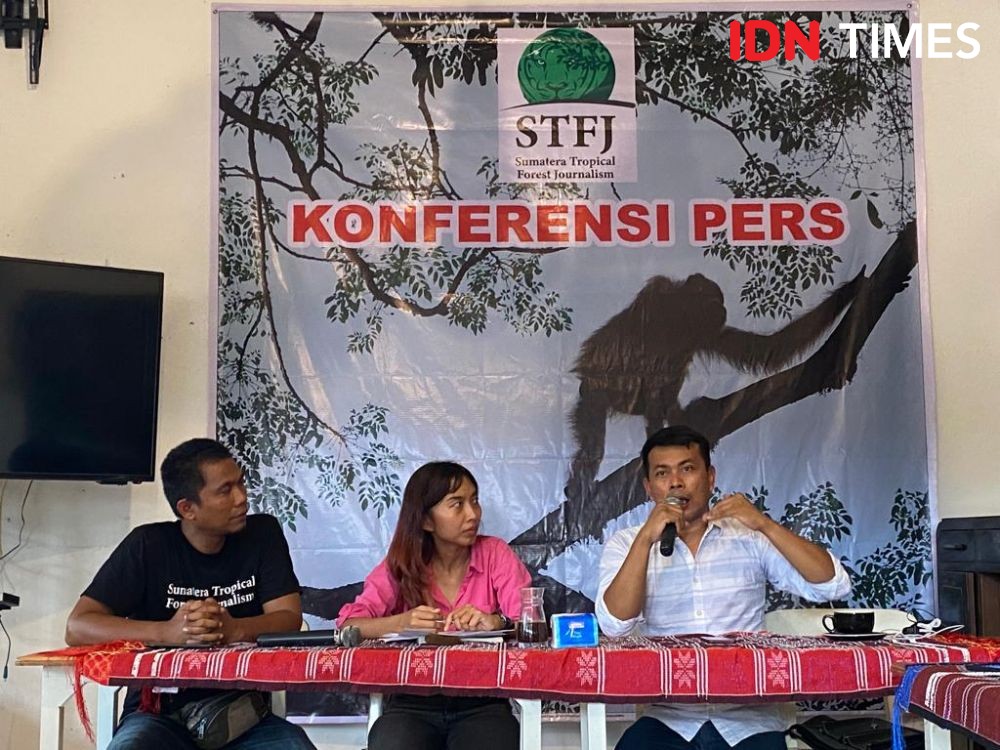 Statusnya Kritis, Tantangan Menyelamatkan Orangutan Semakin Besar