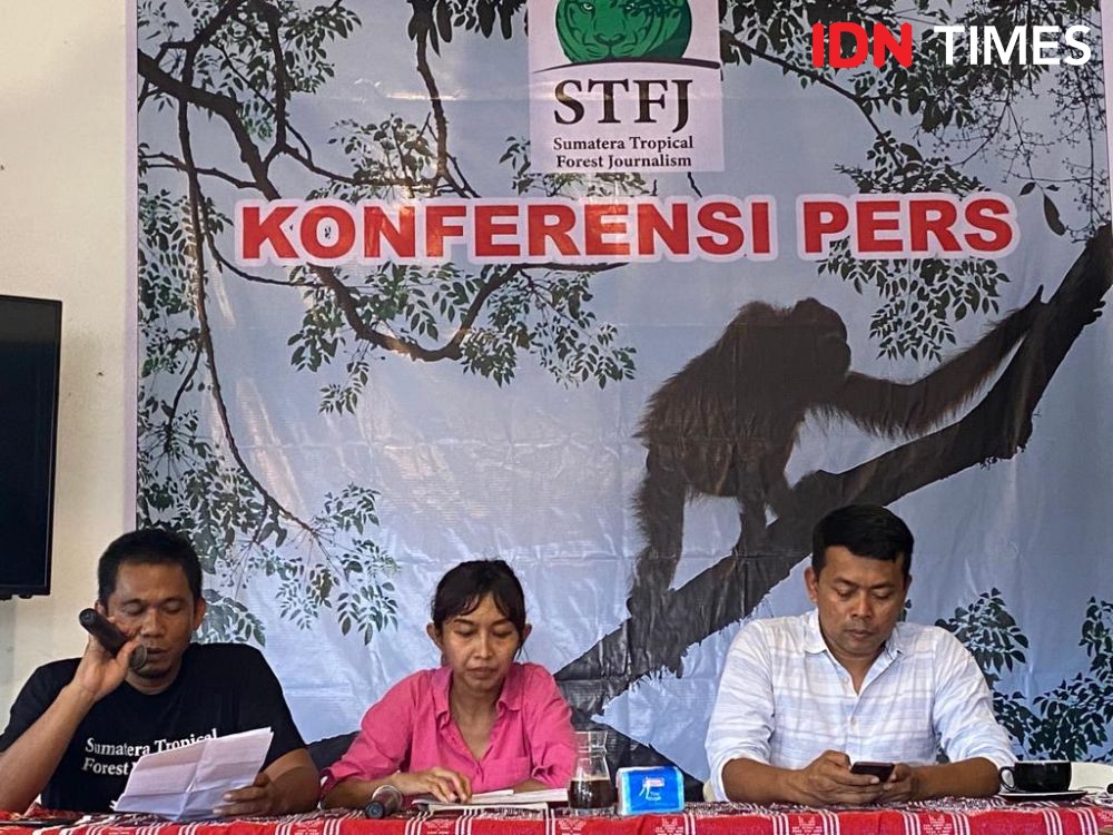 Statusnya Kritis, Tantangan Menyelamatkan Orangutan Semakin Besar