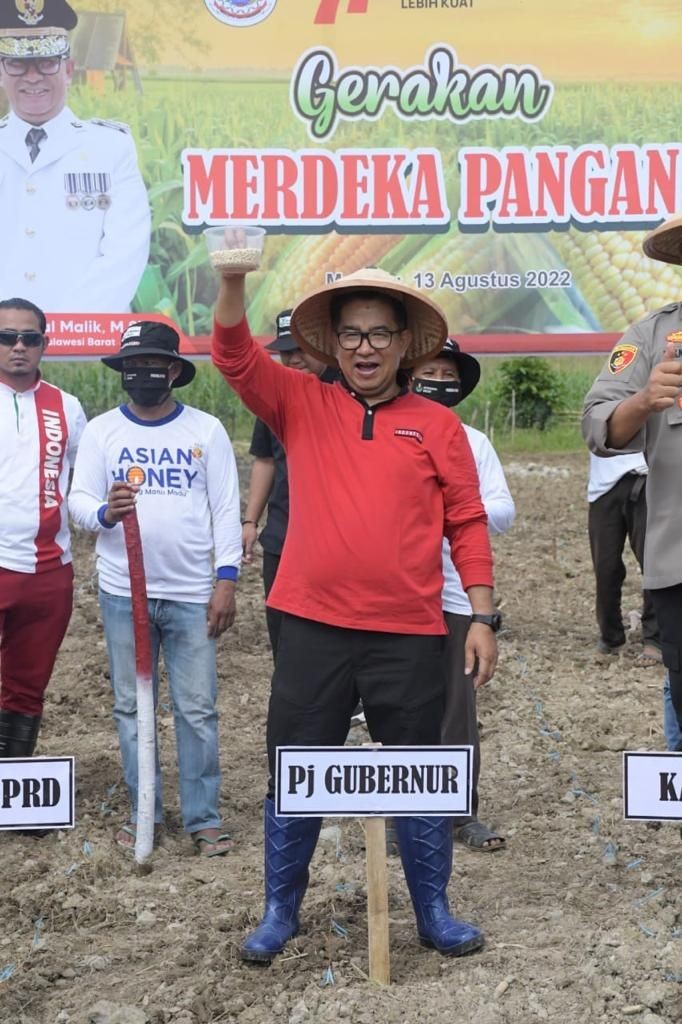 Gerakan Merdeka Pangan di Sulbar, 40 Ribu Hektare Lahan Disiapkan