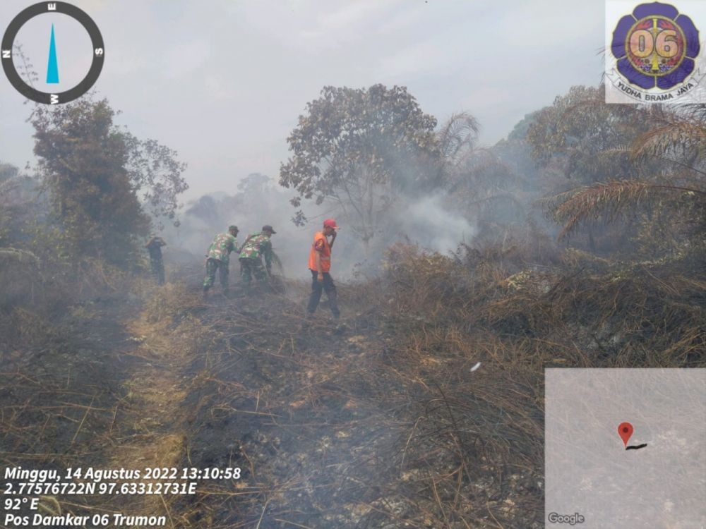 Kebakaran Hutan di Aceh Capai 39 Hektare, Termasuk Hutan Lindung 