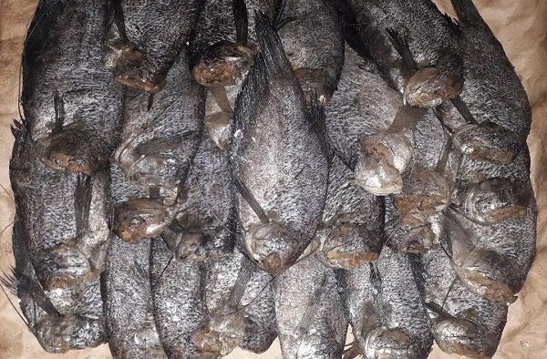 10 Jenis Ikan Asin di Indonesia yang Enak dan Banyak Disukai 