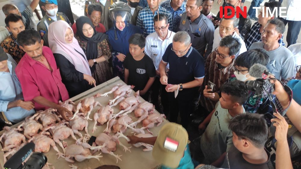 Harga Telur di Banda Aceh Mahal, Mendag: Karena Ada Program Kemensos