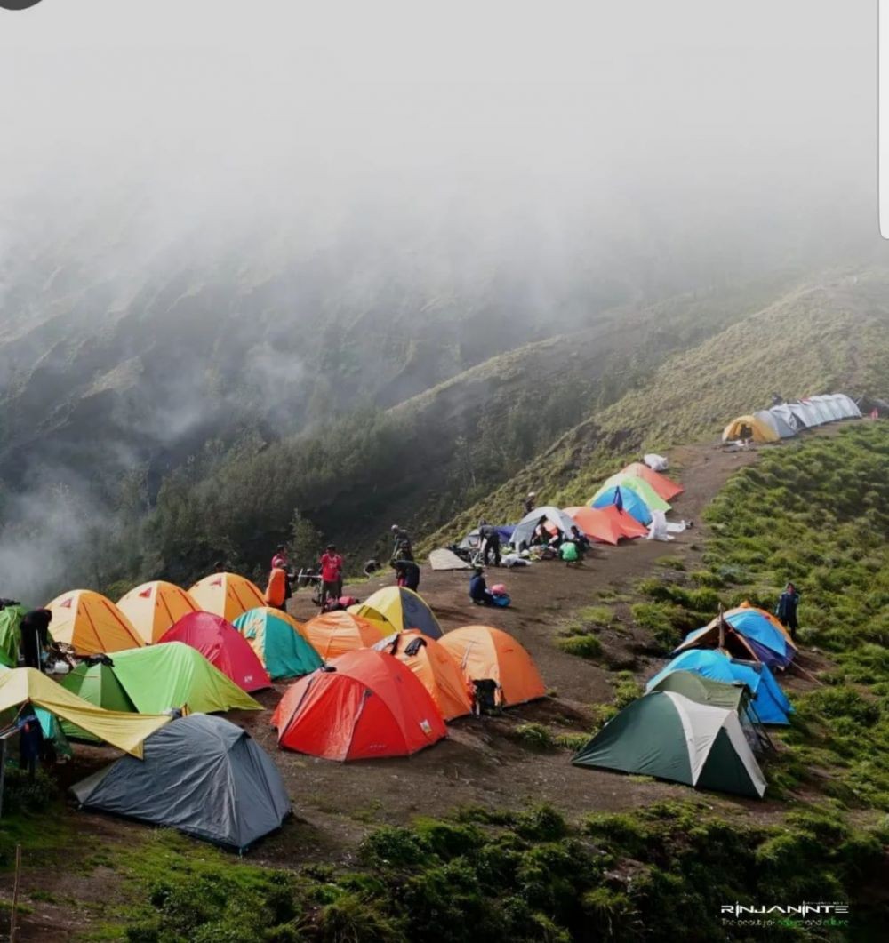 1.358 Wisatawan Mancanegara Mendaki Gunung Rinjani dalam 5 Bulan
