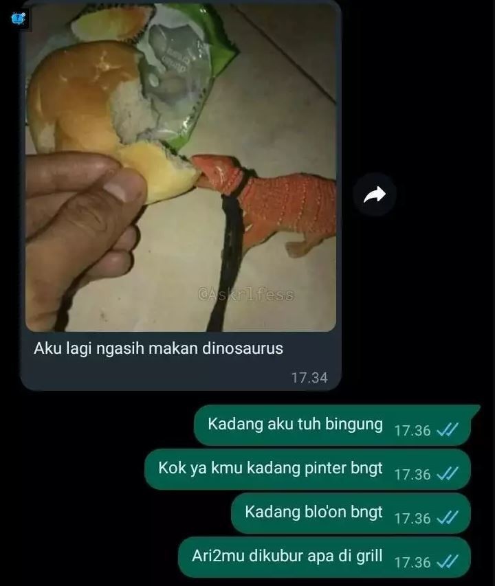 Awalnya Bikin Panik 10 Chat Ke Pasangan Ini Ending Kocak