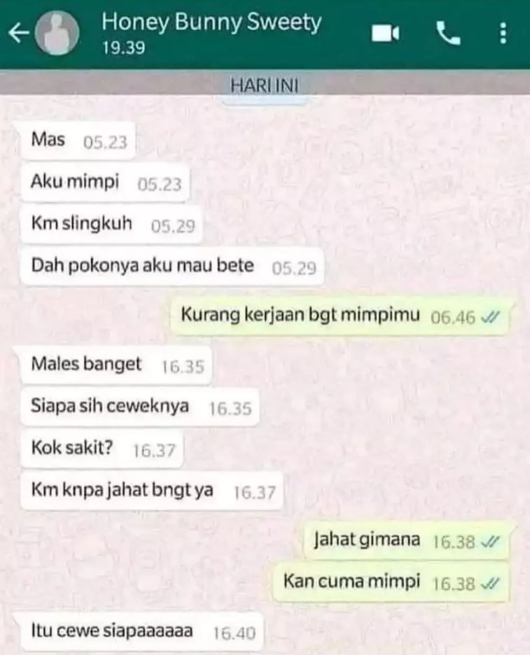 Awalnya Bikin Panik 10 Chat Ke Pasangan Ini Ending Kocak