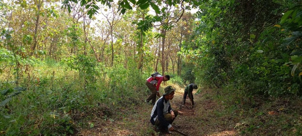 70 Spesies Pohon Direkonstruksi, Tiga Cagar Alam di Jepara Kian Lebat