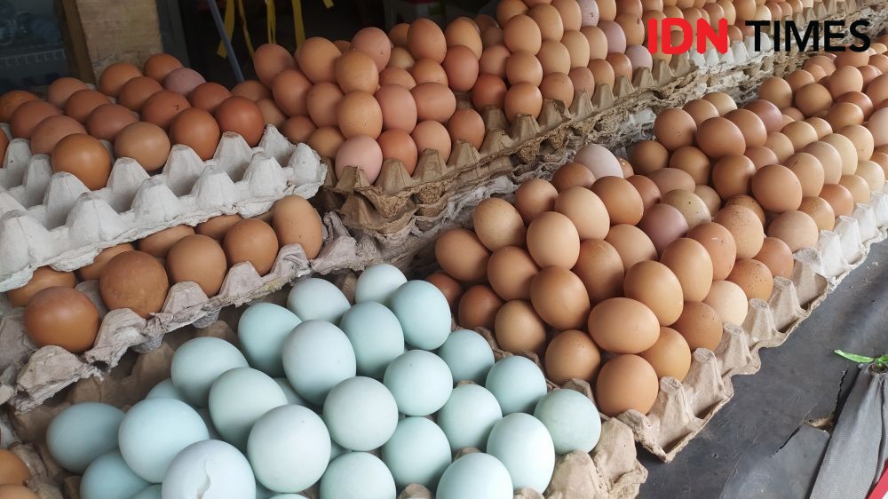 Harga Telur Ayam di Makassar Naik, Pembeli Pasrah