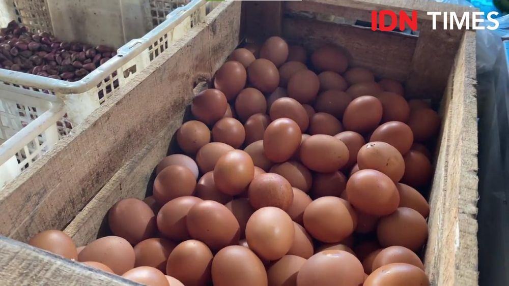 Harga Telur Ayam di Jatim Capai Batas Atas