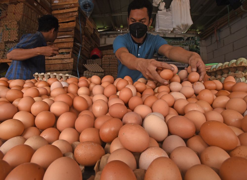 Harga Telur Ayam dan Cabai di Palembang Merangkak Naik