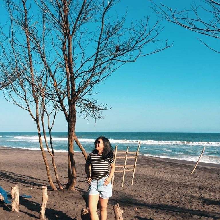 Pantai Baru Jogja Lokasi Harga Tiket Dan Aktivitas Seru