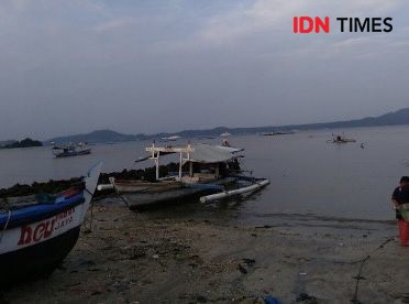 WALHI: Krisis Iklim, Wilayah Daratan Pantai Timur Lampung Hilang