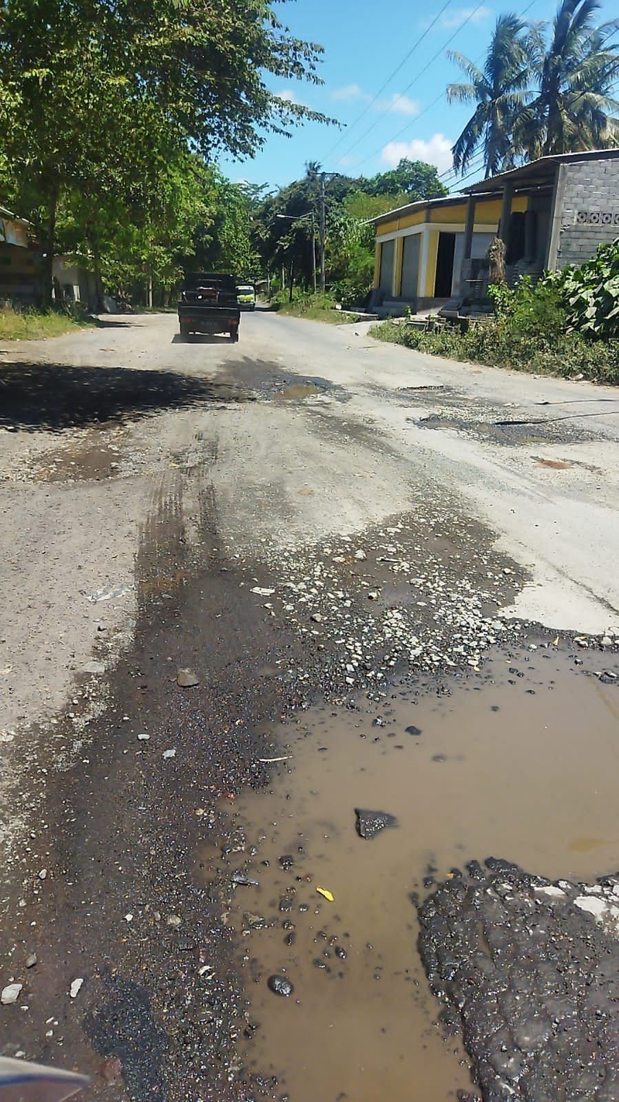 Rusak, Jalan Provinsi di Lombok Timur Ditanami Pohon Pisang oleh Warga