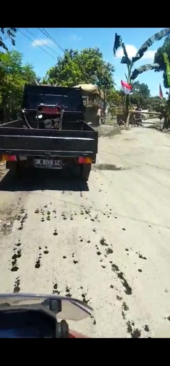Rusak, Jalan Provinsi di Lombok Timur Ditanami Pohon Pisang oleh Warga